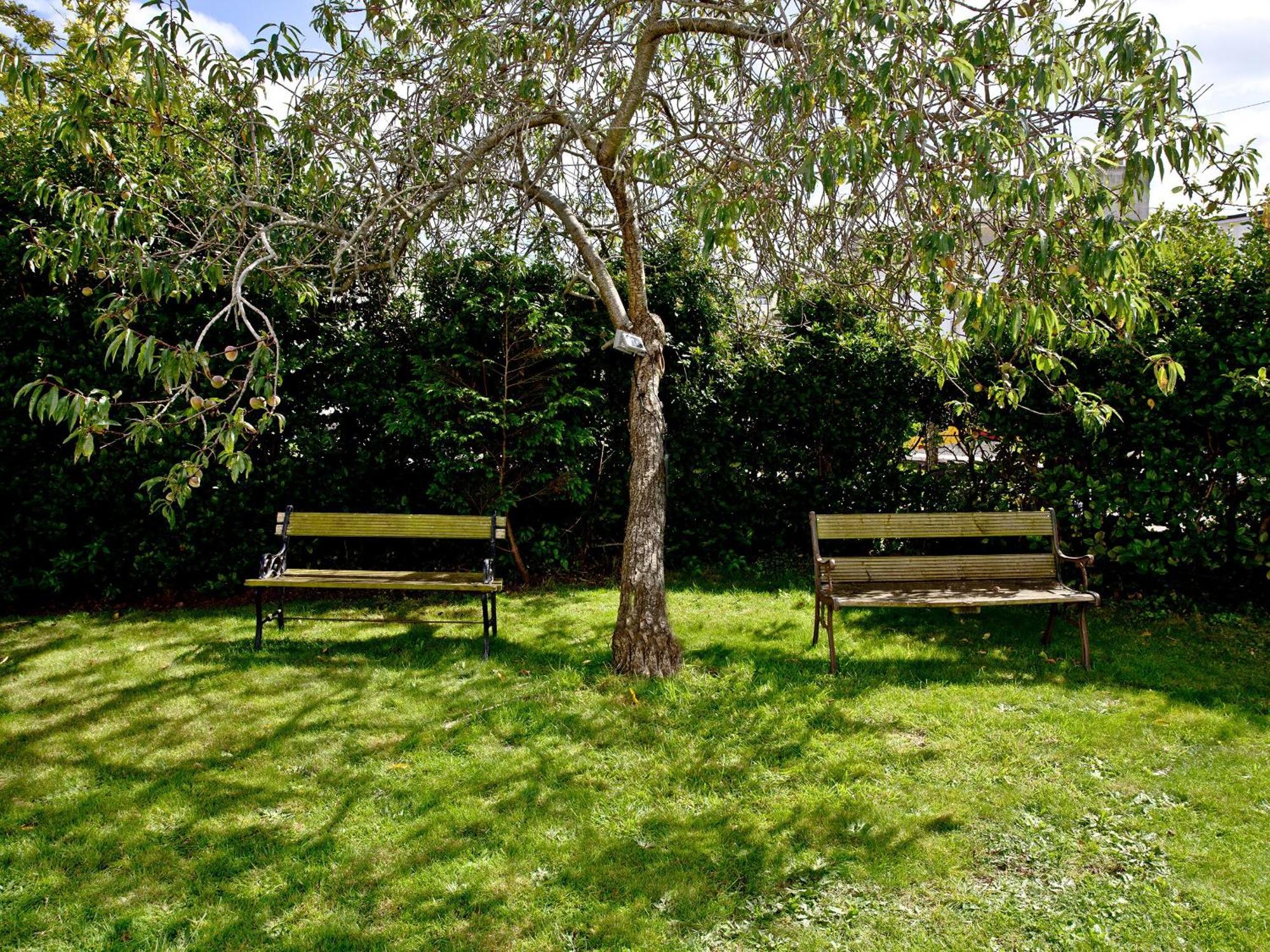 Devon Villa Garden Apartment Torquay Eksteriør bilde